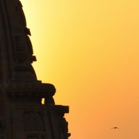 DSC_0234-web