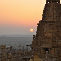 DSC_0241-web