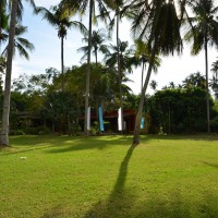 DSC_1437_small