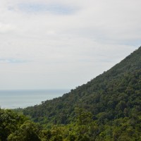 DSC_1448_web