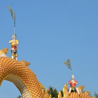 DSC_2009_web