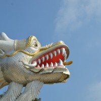 DSC_2012_web