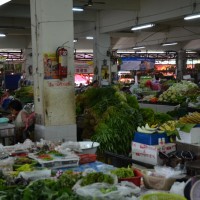 DSC_2053_web