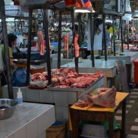 DSC_2061_web