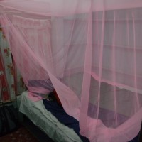 DSC_2223_web
